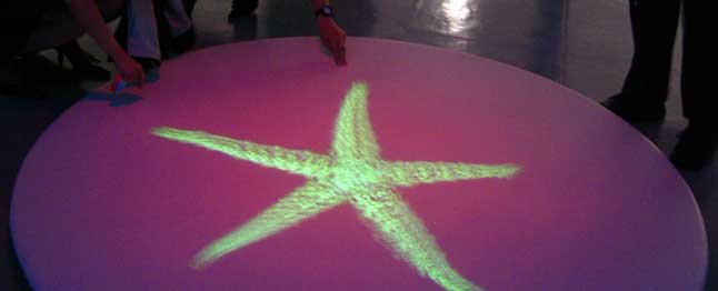 The Mimetic Starfish, instalação de Richard Brown no Itaú Cultural.
